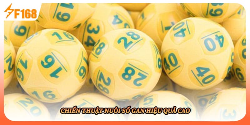 Chiến thuật nuôi số gan hiệu quả cao