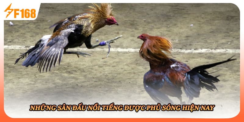 Những sân đấu nổi tiếng được phủ sóng hiện nay